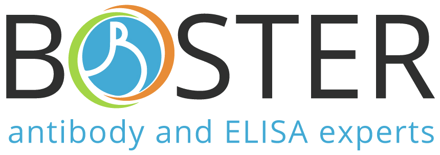 Boster Bio