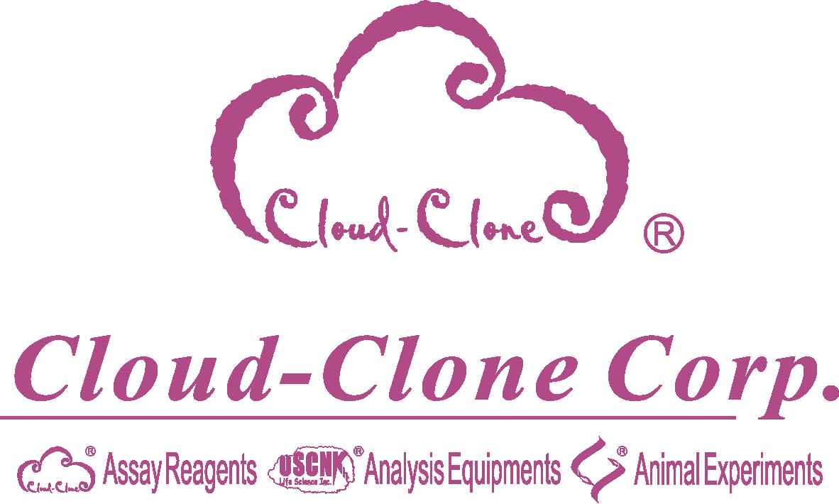 Cloud Clone